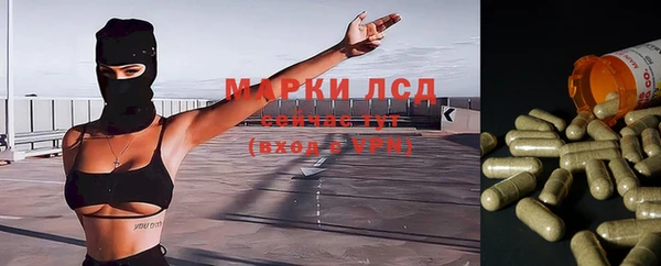 apvp Белокуриха