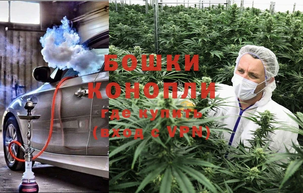 apvp Белокуриха
