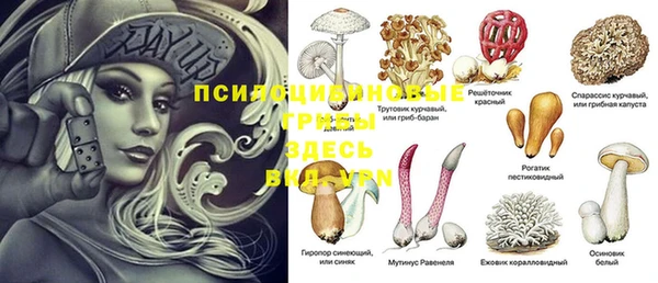 spice Белоозёрский