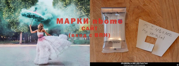 apvp Белокуриха